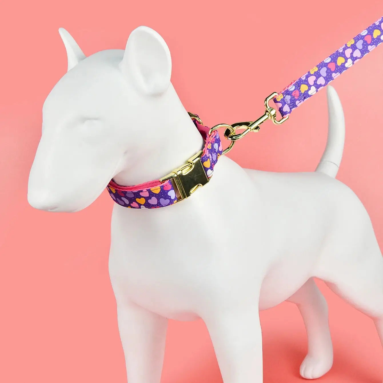 Collar & Leash Luxury Set