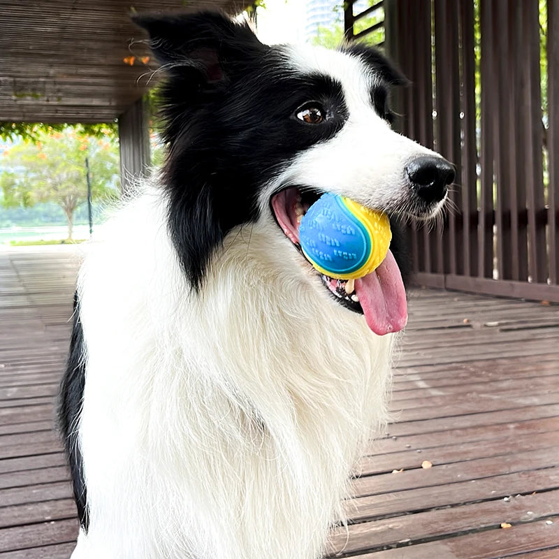 Dog Ball Toy - Bite Resistant Interactive